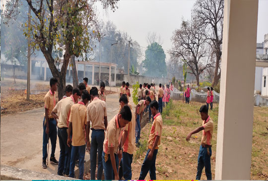 Image Here