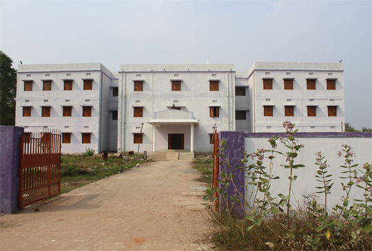 Image Here