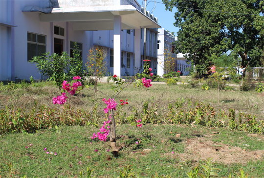 Image Here